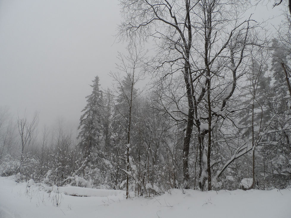 2012-12-28+14.48.35.jpg