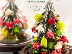 Close-up of two glass domes containing miniature Christmas trees made of preserved flowers (red, white, and lime green) with festive decorations like a Santa figurine and tiny gifts on a dark wood base.