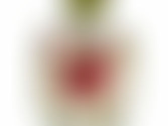 Preserved Rose Flowers