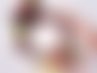 Classic Red & Green Christmas Wreath 🎄 | Handcrafted Dried Flower Holiday Decor