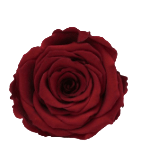 Antique-Red.gif
