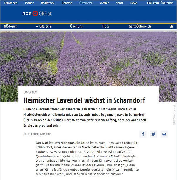 ORF NÖ Beitrag 14.07.2020.JPG