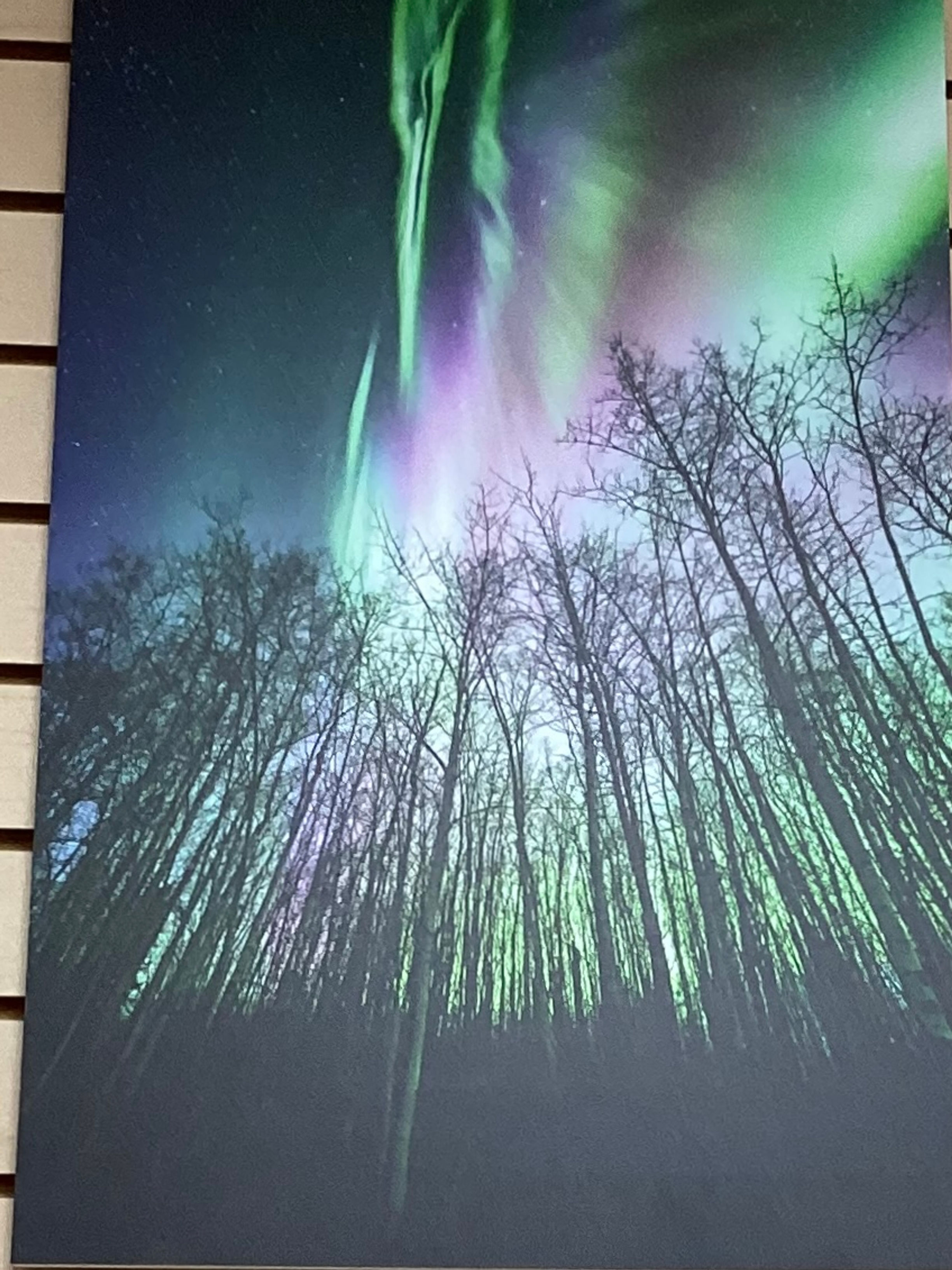 Ribbon skirt 25X16 Northern Lights photo
