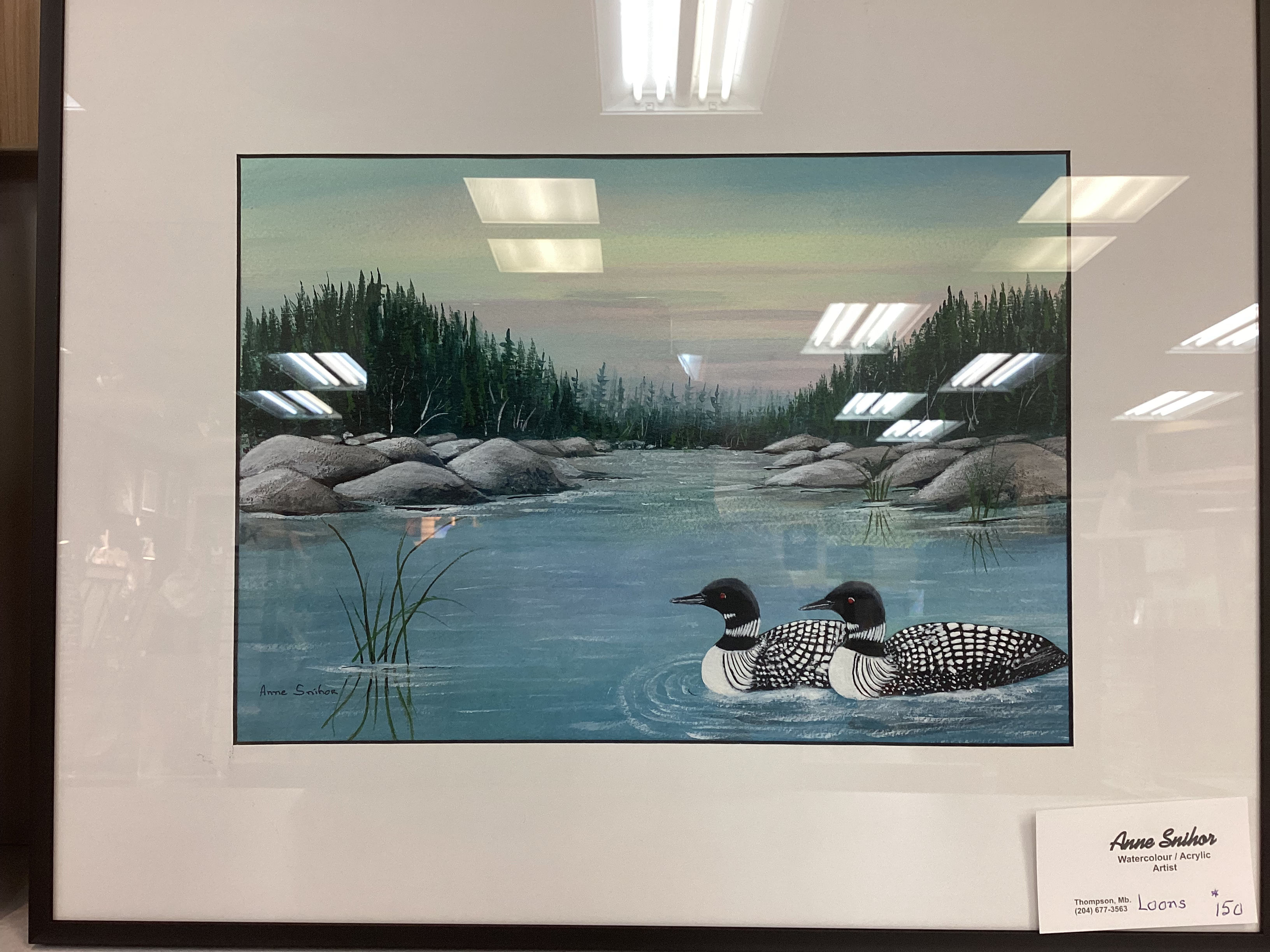 Loons by Anne Snihor