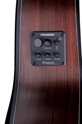 Miniature : Denver rosewood grand electric acoustic guitar 