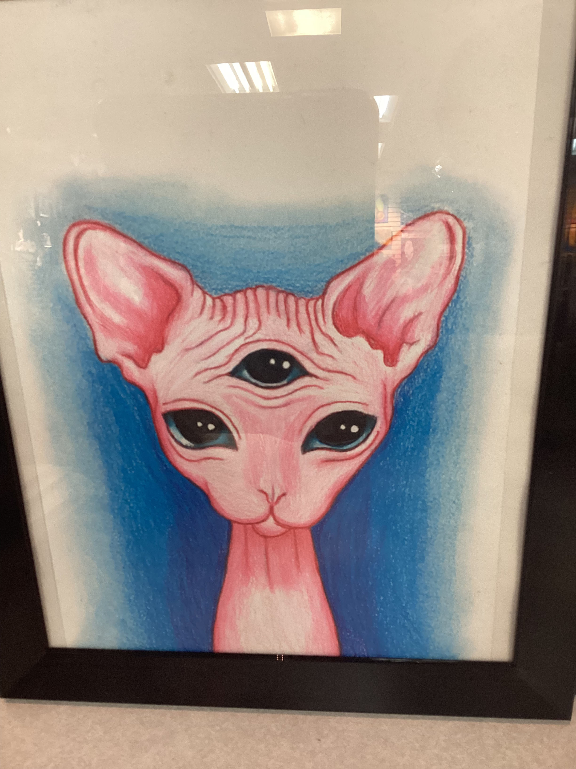 Bald cat