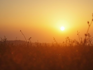 Secure Your Legacy with Life Insurance Solutions