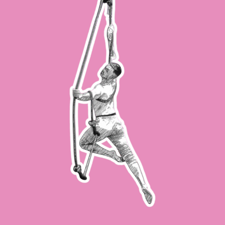Trapeze Taster service showcasing classic circus moves