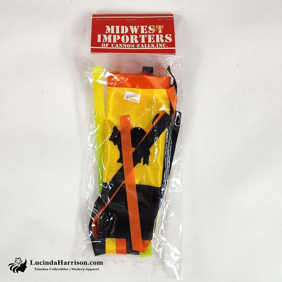 Thumbnail: 1980s Vintage Halloween Mini Windsock Black Cat