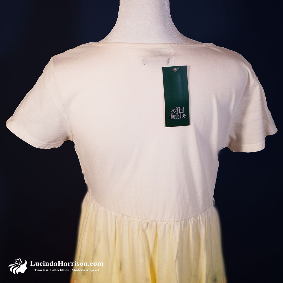 Thumbnail: Wild Fable | Ombré Tiered Short Sleeve Women Dress