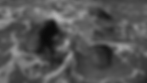 4D72FE9B-7361-4913-BA9C-1A03324CCE39copy-ezgif.com-video-to-gif-converter.gif