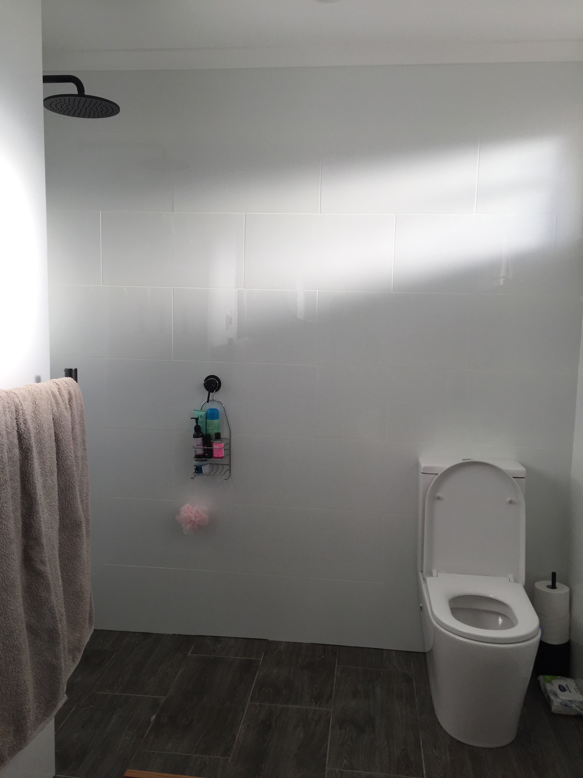 Bilgola Plateau bathroom renovation