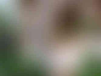 Albercas, acabados interiores