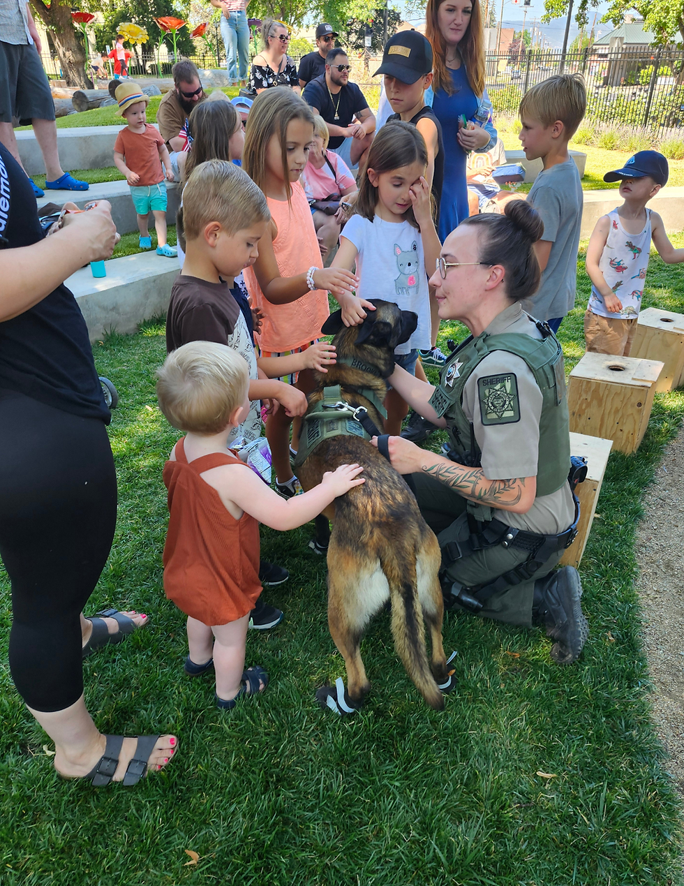 Animal Encounters