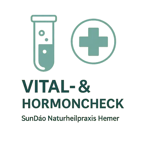 Illustration zu Vital- und Hormonfunktion – Energie, Stressachsen und Balance.