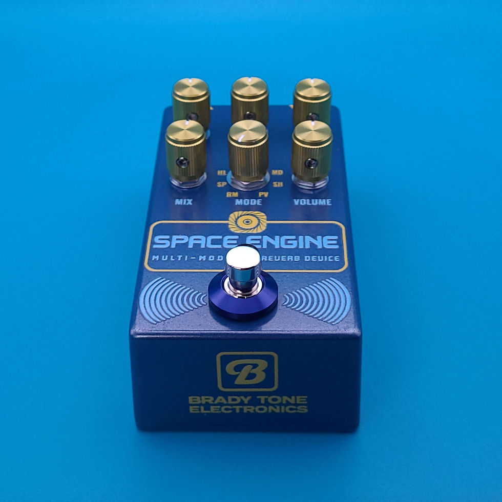 Space Engine Multi-Mode Reverb, Brady Tone Electronics