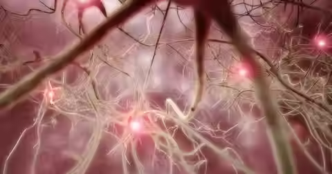 Les Neurotransmetteurs : les messagers chimiques du cerveau et leur rôle essentiel dans la santé mentale