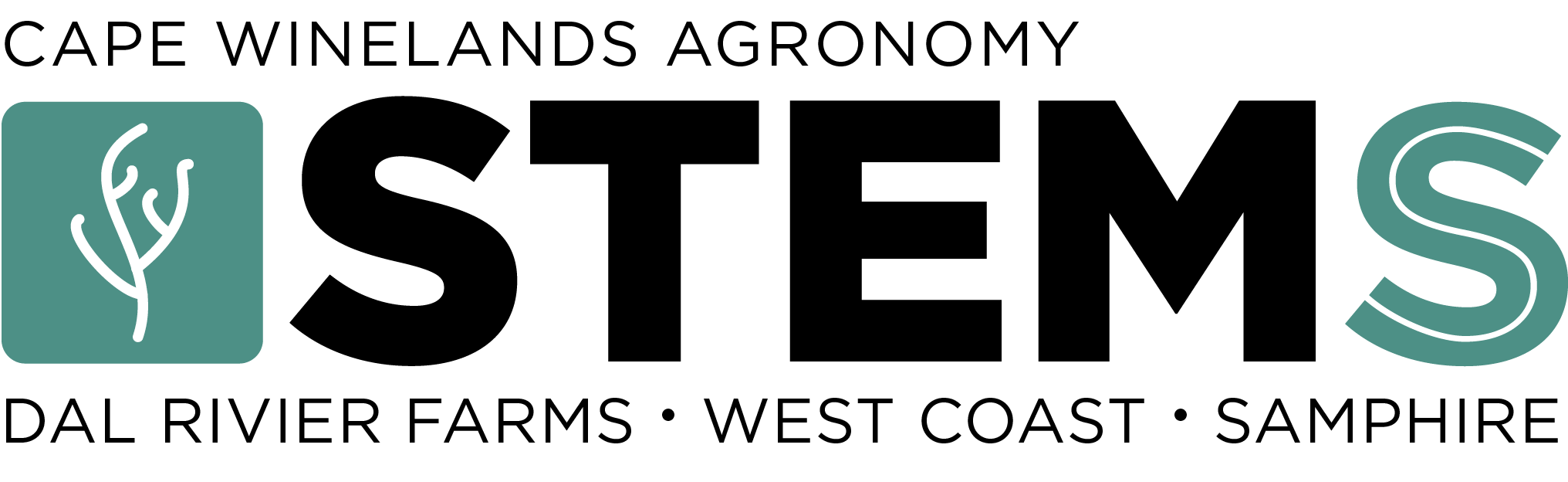 STEMS LOGO - colour.png