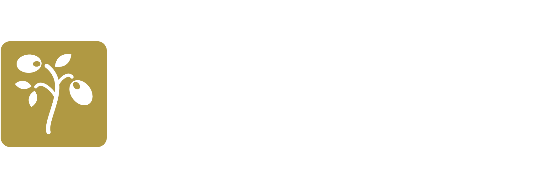 OLIVI LOGO - colour white.png