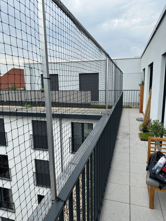 Katzennetz auf dem Neuebau