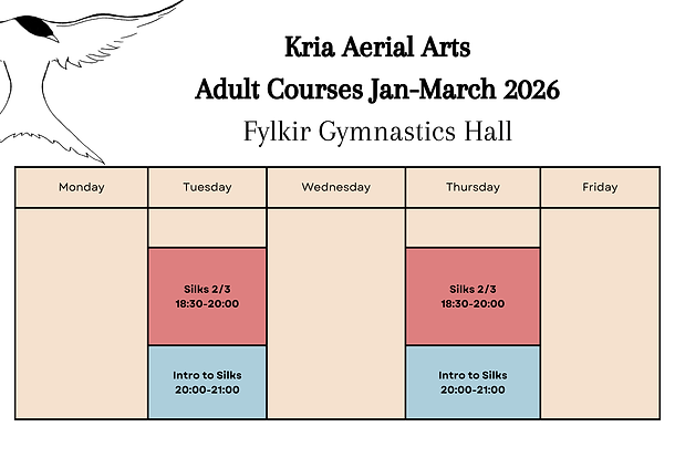 Yellow Organic Summer Camp Schedule (18).png