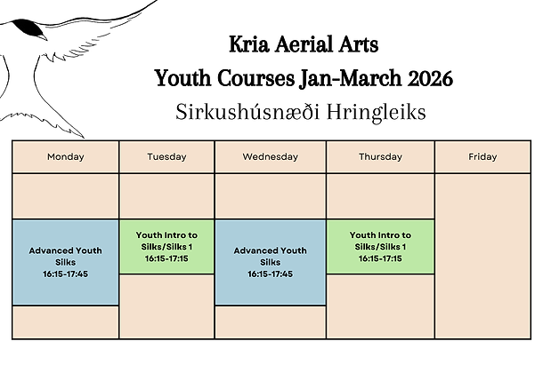 Yellow Organic Summer Camp Schedule (17).png