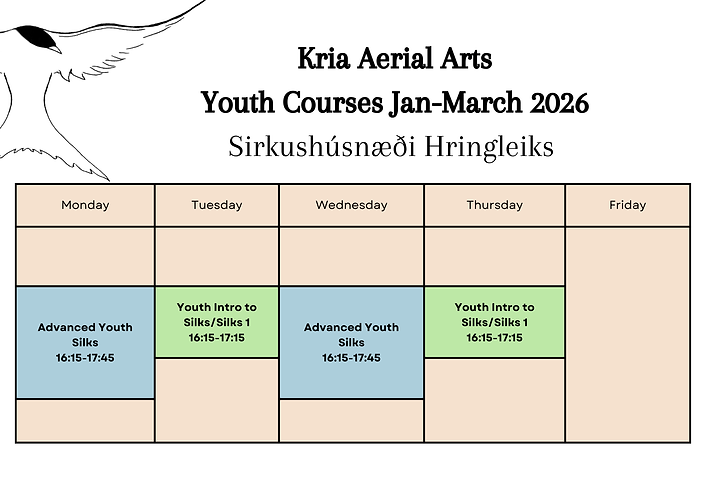 Yellow Organic Summer Camp Schedule (17).png