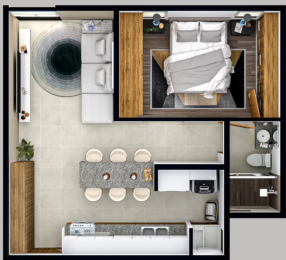 46.1 Renders Zenital.png