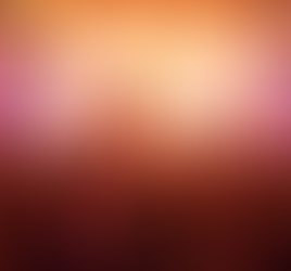 From great bites to great campus nights