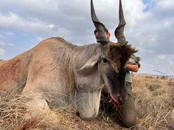 Eland Hunt