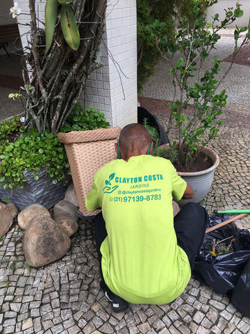 Imagens-clayton-costa-jardins-riodejaneiro