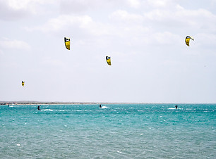 LDL06211_edited.jpg