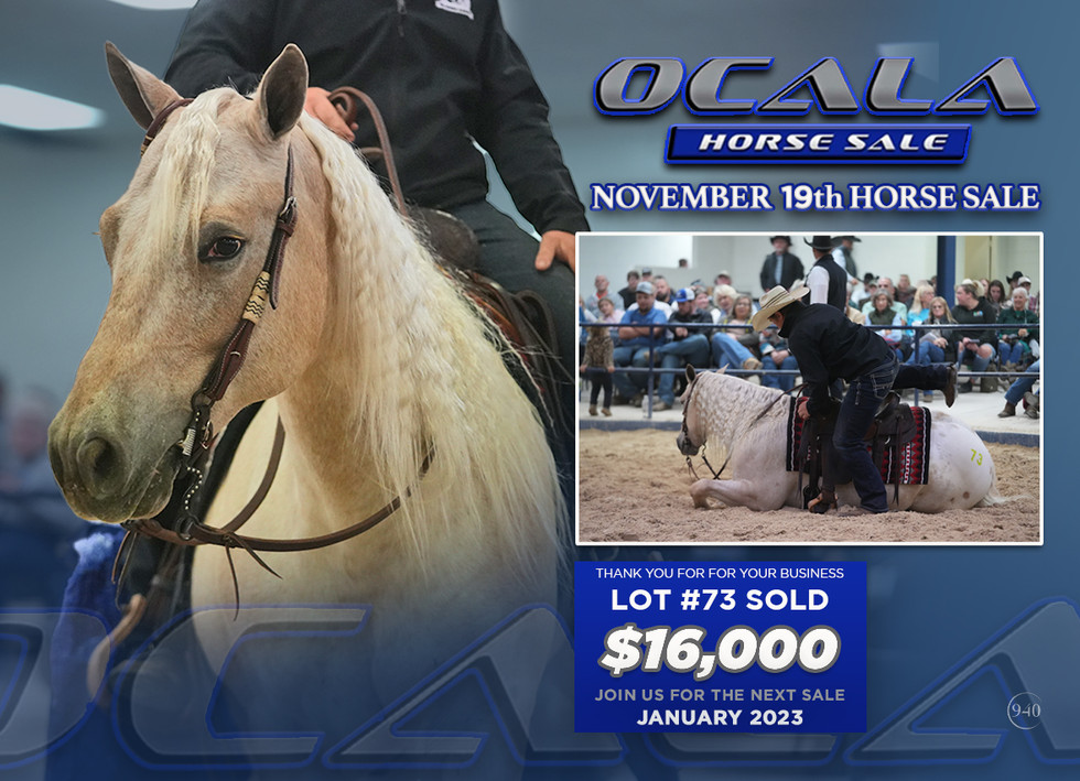 RESULTS Ocala Horse Sale