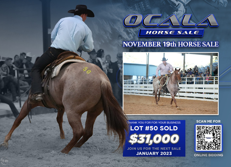 RESULTS Ocala Horse Sale
