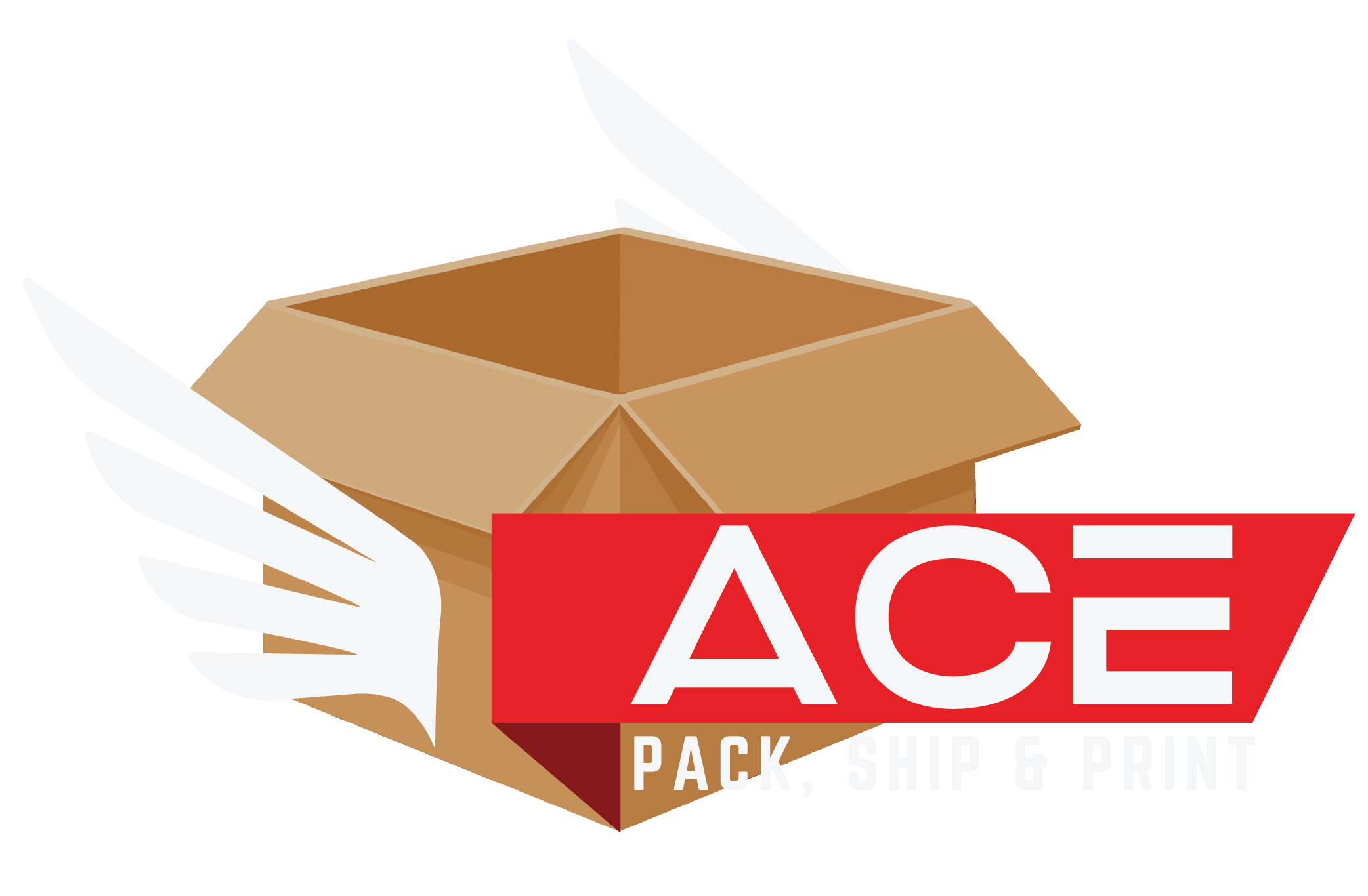 Ace- Pack and Ship-Logo package-02.png