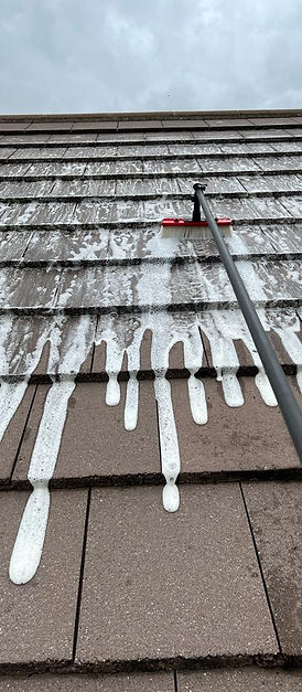 Roof Moss Biocide Treatment Algae & Lichen Prevention.JPG