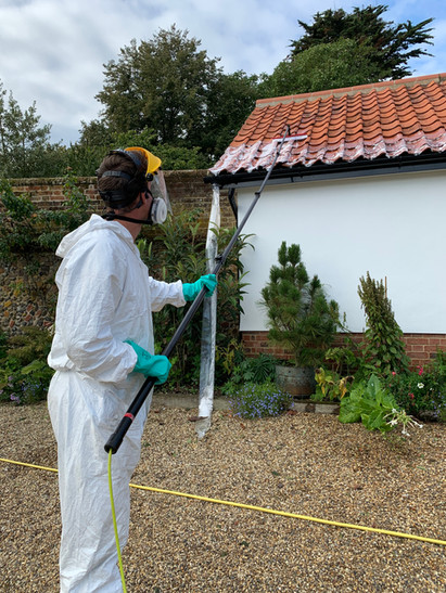 Jake Austin Roof Cleaning .jpeg