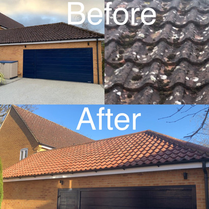 Before and after moss removal and treatment