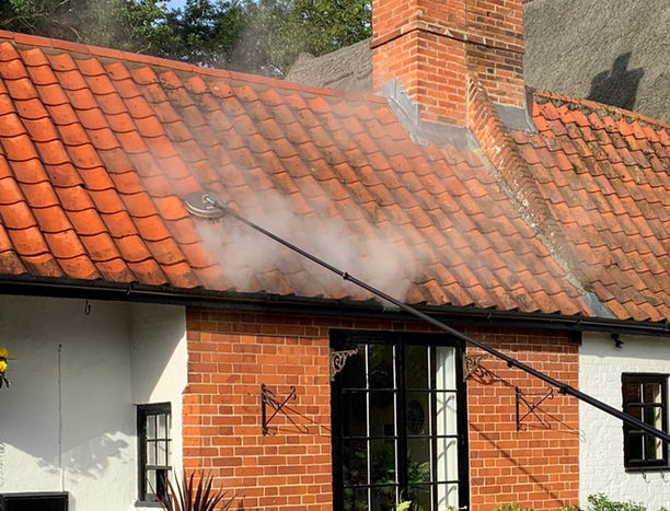 Roof steam clean and bio treatment_edited_edited.jpg