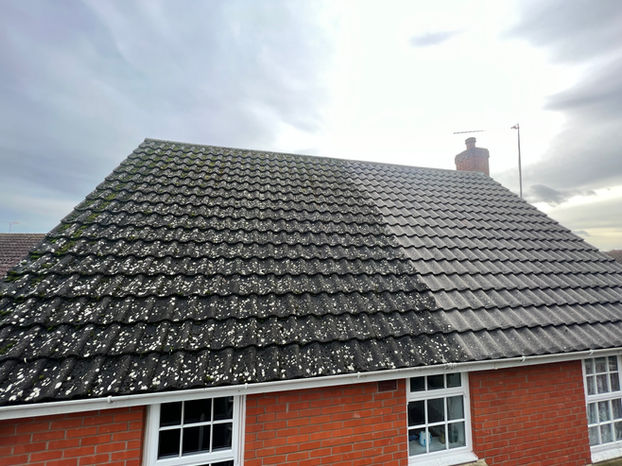 Roof Moss Removal Grey Roof Tiles .jpeg