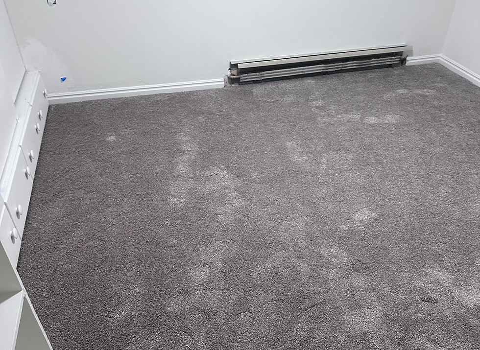carpet.jpeg