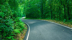 Valparai to Athirapalli Road