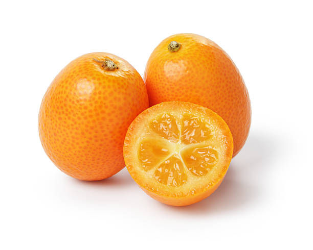 Crispy Kumquat