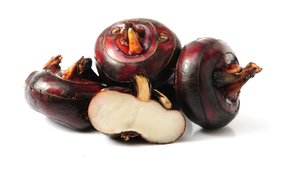 Water Chestnut