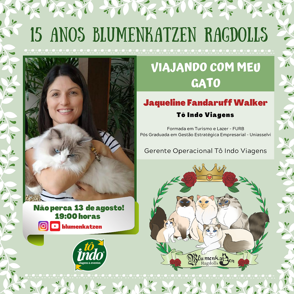 Viajando com seu gato
