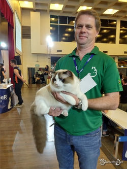 ES* Olympodolls Yves