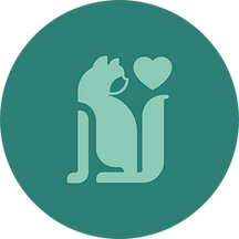 Ragdoll Blumenkatzen