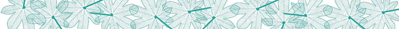 banner1.png