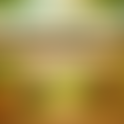 Ayurvedic Medicine Manufacturing Company in India for Quality Herbal Products