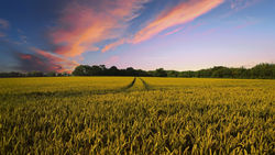 countryside-2326787_1920